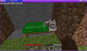 Doggie IN bed03.png