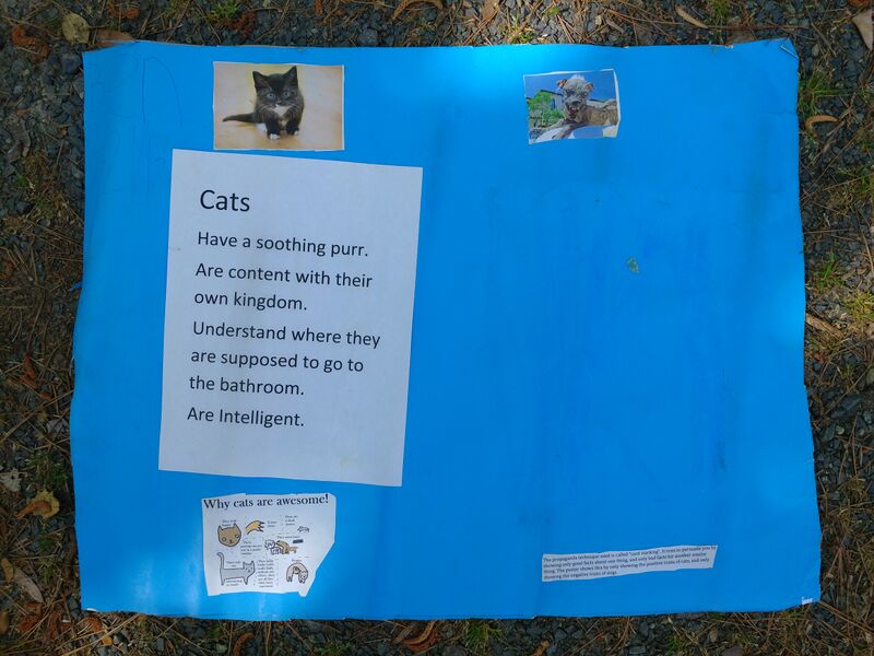 File:20250421 101525.jpg