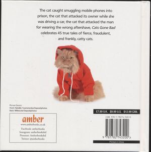 Hbk.Scratching.Cats Gone Bad-3.jpg