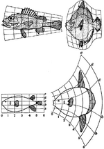 Thumbnail for File:JERS ABL Figure 1.1.png