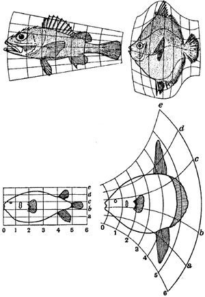 JERS ABL Figure 1.1.png