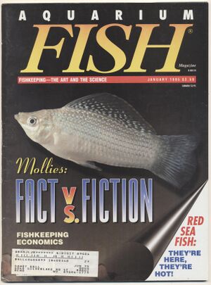 1995-01.Aquarium Fish-1.jpg