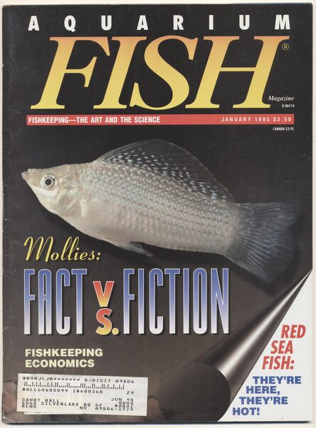 File:1995-01.Aquarium Fish-1.jpg