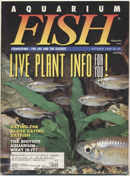 File:1995-10.Aquarium Fish-1.jpg