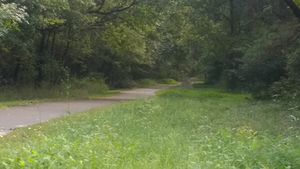 IMG 20170918 154418521.Sandy Creek Trail.1200pxw.sharp.jpg