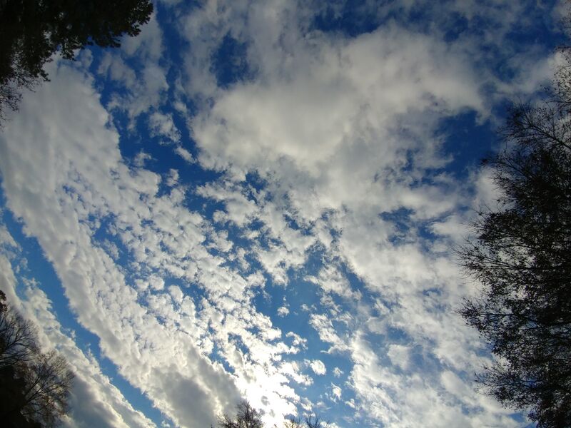 File:20251122 141316.jpg