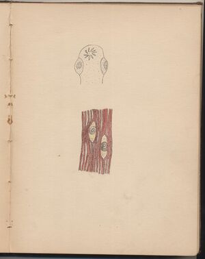 Hbk.Human Physiology and Histology-42.jpg