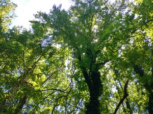 20220605 114834 HDR.jpg