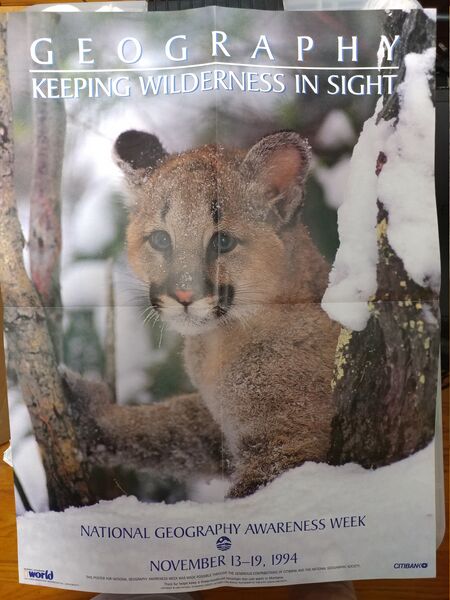 File:20250702 114132.wilderness in sight poster.jpg