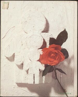 Hetherington & Parke.Child Psychology-3.jpg