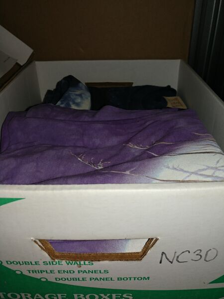 File:20250625 135255.jpg