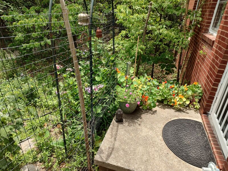 File:20260606 131647203 HDR.jpg