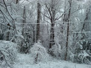 IMG 20150226 073156 771.jpg