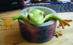 Rubber Frog & Tie Dye Duck Tape.JPG