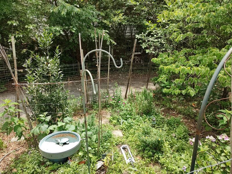 File:20260606 131651577 HDR.jpg