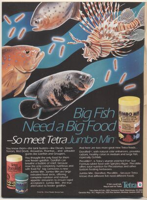 1994-04.Aquarium Fish-2.jpg