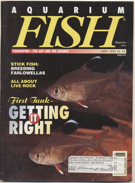 File:1995-06.Aquarium Fish-1.jpg