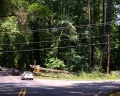 2012-06-30 downed tree northbound.100 6653.crop-adj.JPG