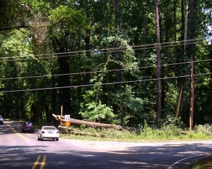 2012-06-30 downed tree northbound.100 6653.crop-adj.JPG