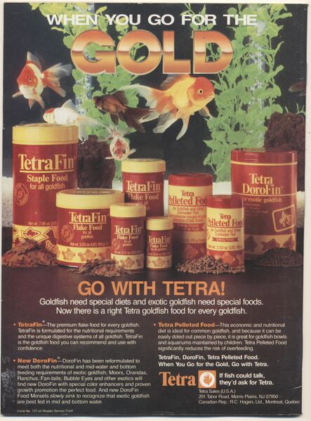 File:1994-05.Aquarium Fish-2.jpg