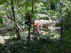 20230826 132546 HDR.jpg