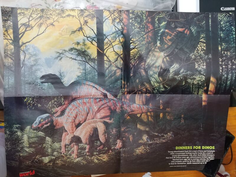 File:20250628 133850.jpg