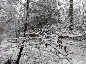 IMG 20200220 172634778.jpg