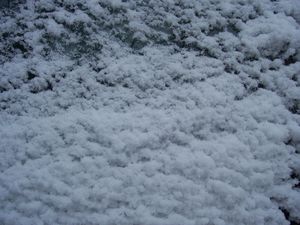 Left Passenger Window of Caravan.jpg