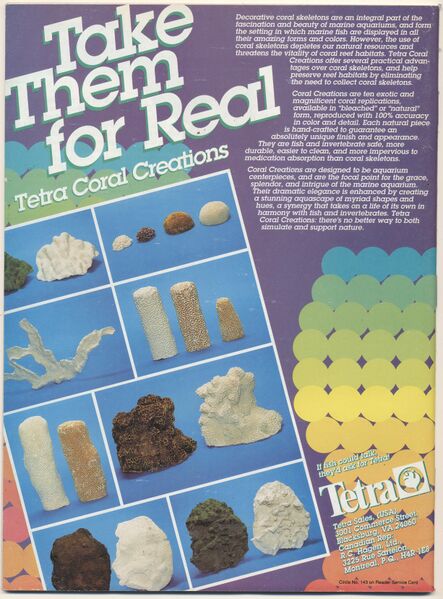 File:1994-06.Aquarium Fish-2.jpg