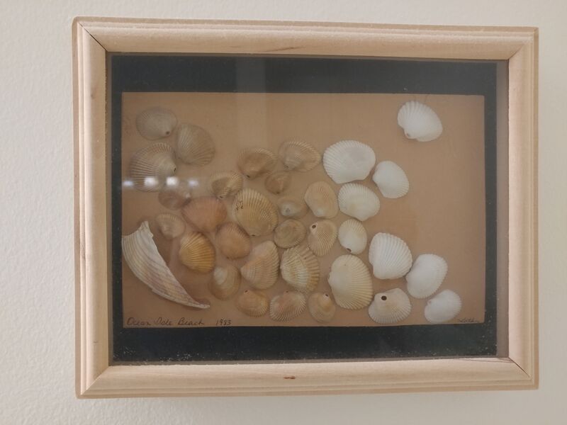 File:20250506 112706.jpg