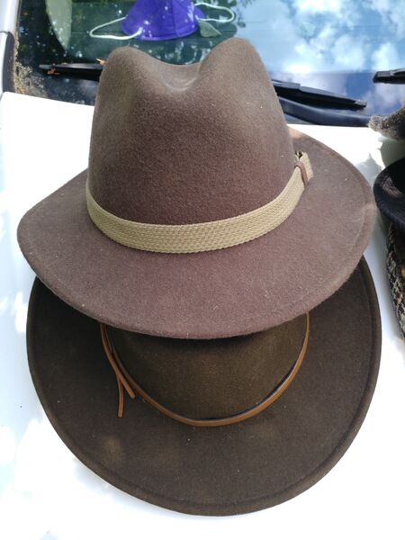 File:20250430 111833.jpg