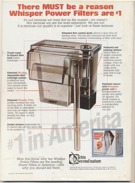 File:1995-06.Aquarium Fish-2.jpg