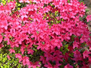 IMG 20200328 131451373.jpg