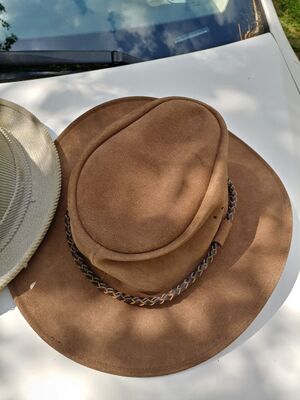 20250430 111856 HDR.jpg