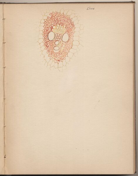 File:Hbk.Human Physiology and Histology-36.jpg